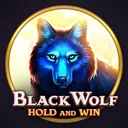 Black Wolf: Hold and Win pokie by Booongo (BNG)